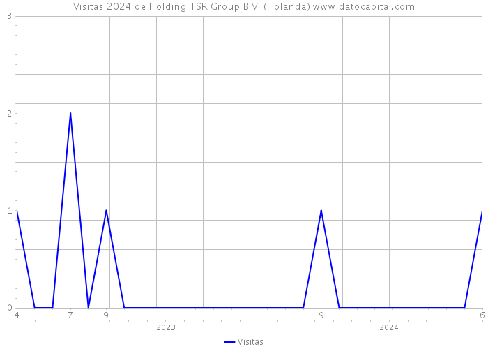 Visitas 2024 de Holding TSR Group B.V. (Holanda) 