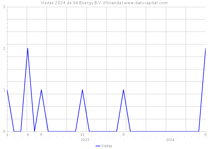 Visitas 2024 de S4 Energy B.V. (Holanda) 