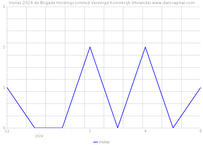 Visitas 2024 de Brigade Holdings Limited Verenigd Koninkrijk (Holanda) 