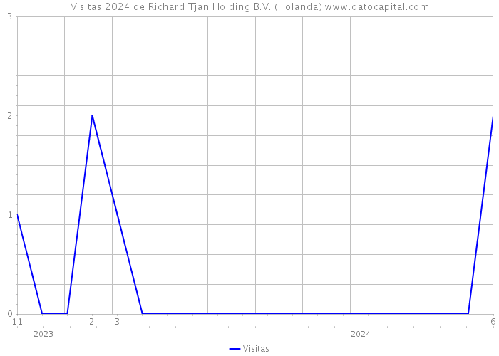 Visitas 2024 de Richard Tjan Holding B.V. (Holanda) 