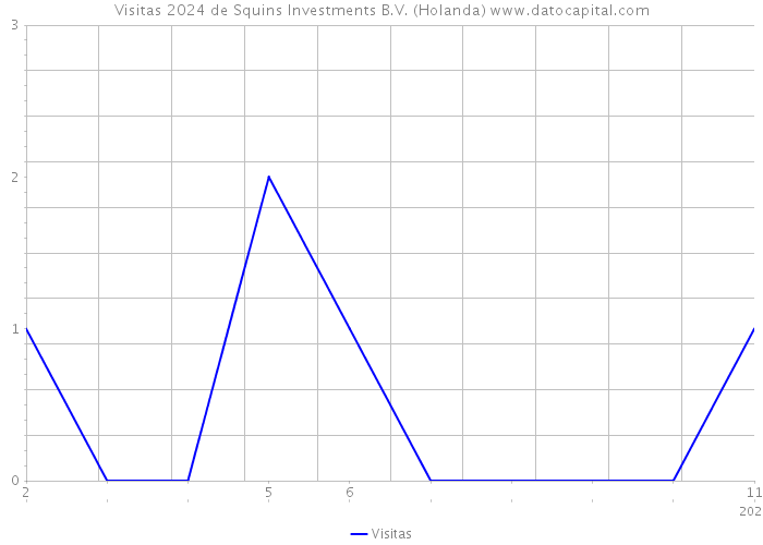 Visitas 2024 de Squins Investments B.V. (Holanda) 