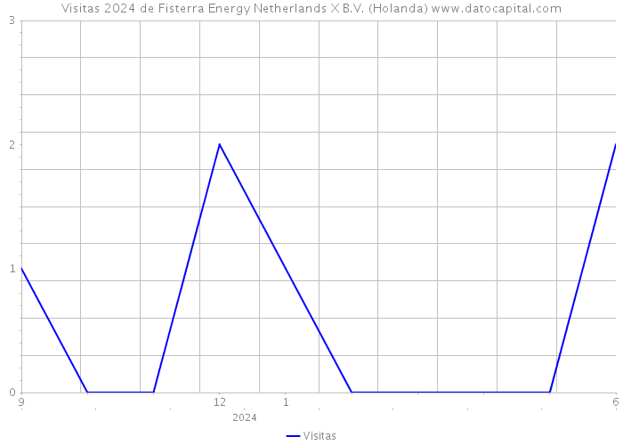 Visitas 2024 de Fisterra Energy Netherlands X B.V. (Holanda) 
