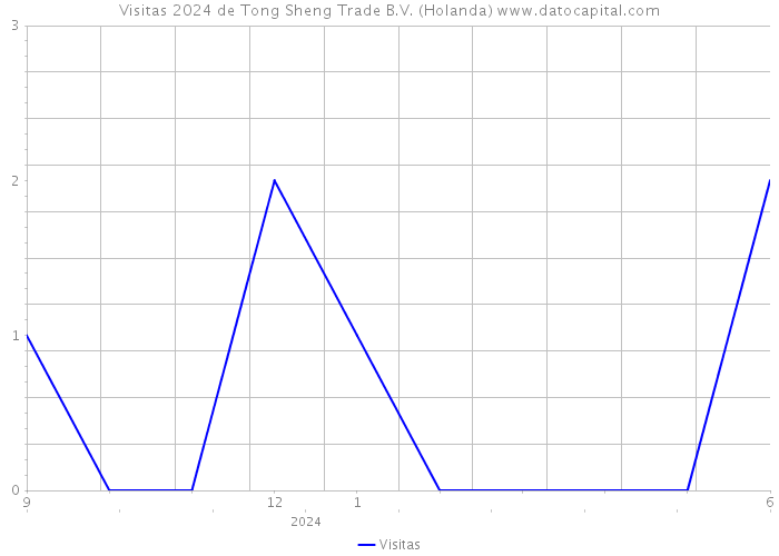 Visitas 2024 de Tong Sheng Trade B.V. (Holanda) 