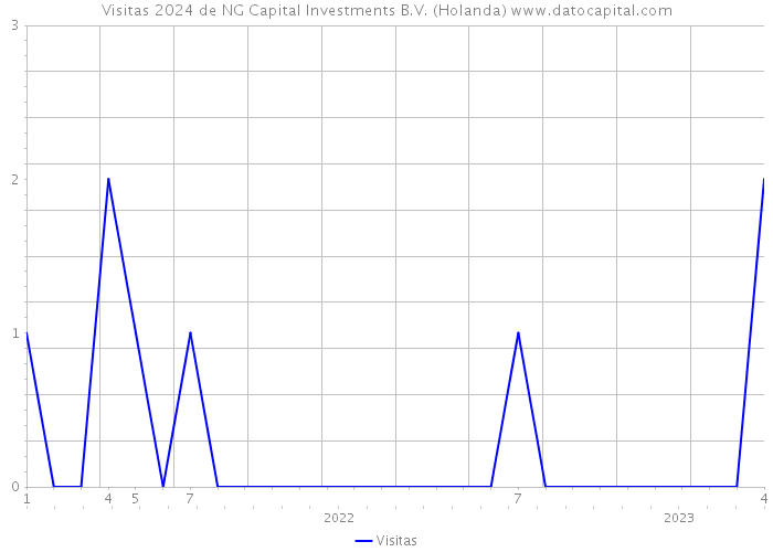 Visitas 2024 de NG Capital Investments B.V. (Holanda) 