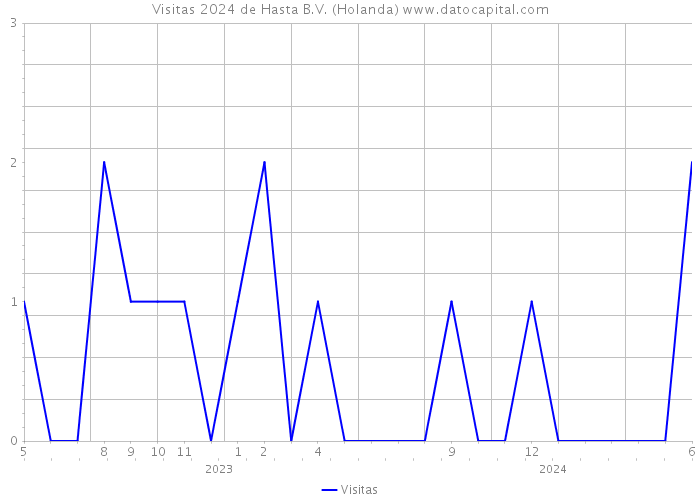 Visitas 2024 de Hasta B.V. (Holanda) 