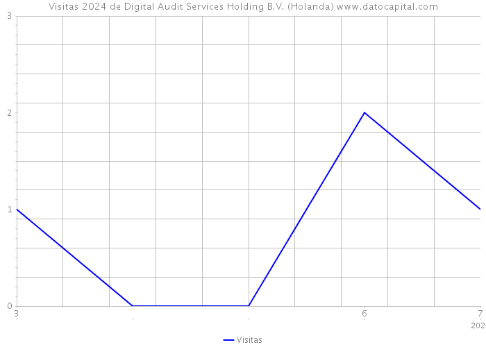 Visitas 2024 de Digital Audit Services Holding B.V. (Holanda) 