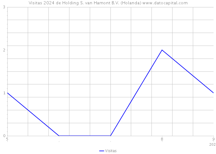 Visitas 2024 de Holding S. van Hamont B.V. (Holanda) 