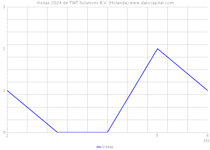 Visitas 2024 de TWT Solutions B.V. (Holanda) 