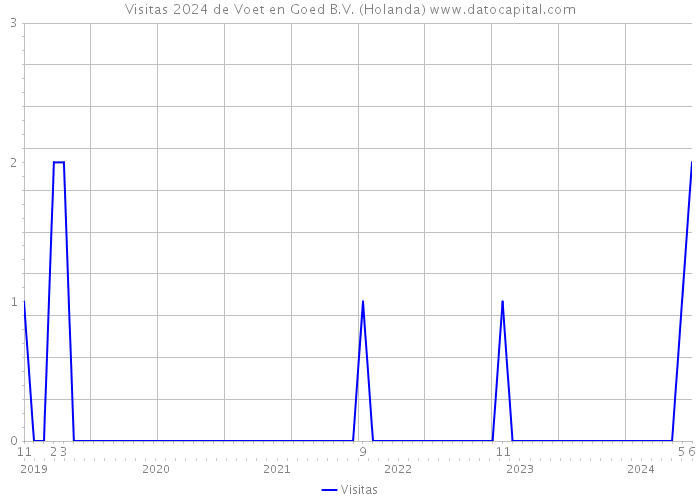 Visitas 2024 de Voet en Goed B.V. (Holanda) 