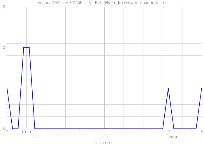 Visitas 2024 de FIP Villa's VII B.V. (Holanda) 