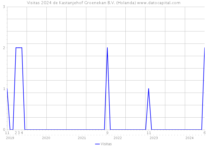 Visitas 2024 de Kastanjehof Groenekan B.V. (Holanda) 