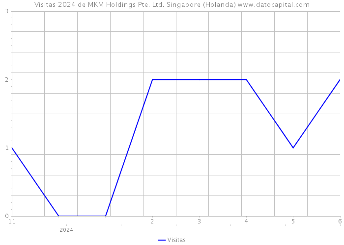 Visitas 2024 de MKM Holdings Pte. Ltd. Singapore (Holanda) 