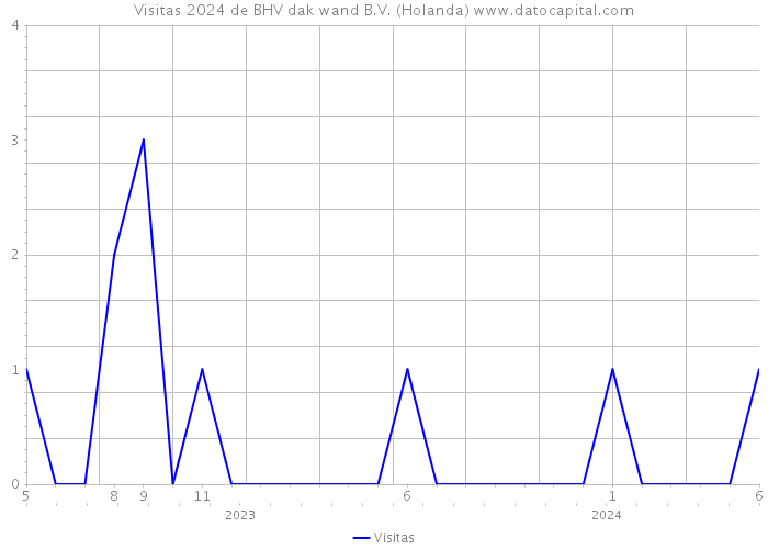 Visitas 2024 de BHV dak wand B.V. (Holanda) 