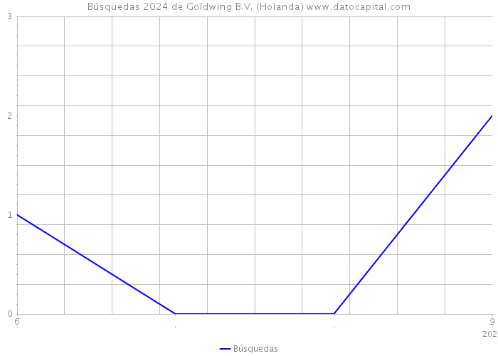 Búsquedas 2024 de Goldwing B.V. (Holanda) 