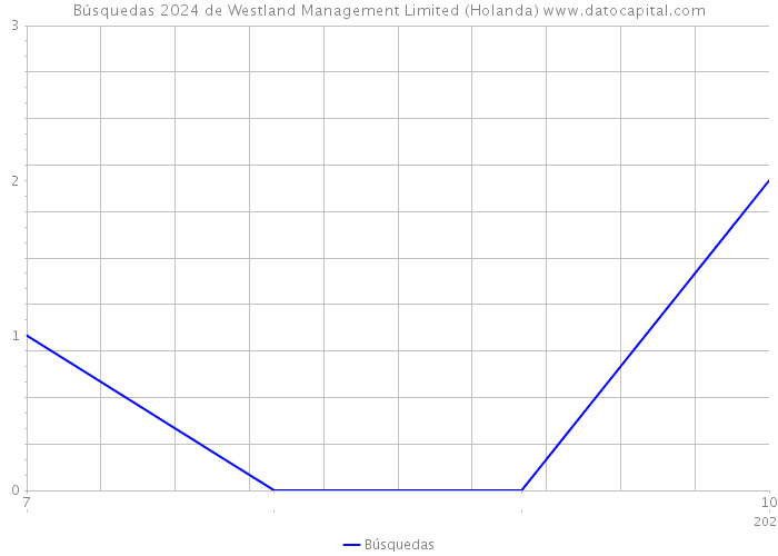 Búsquedas 2024 de Westland Management Limited (Holanda) 