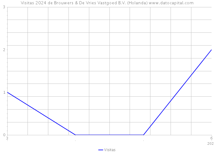 Visitas 2024 de Brouwers & De Vries Vastgoed B.V. (Holanda) 