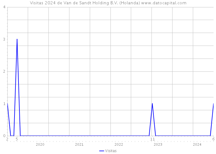 Visitas 2024 de Van de Sandt Holding B.V. (Holanda) 