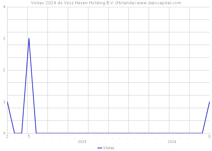 Visitas 2024 de Vezz Hesen Holding B.V. (Holanda) 