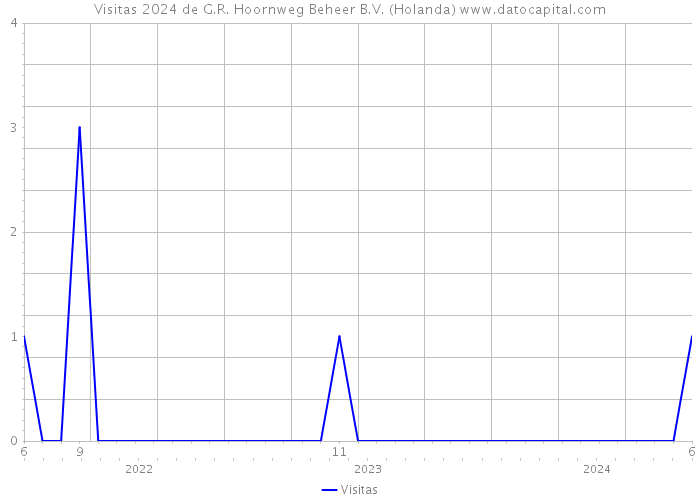 Visitas 2024 de G.R. Hoornweg Beheer B.V. (Holanda) 