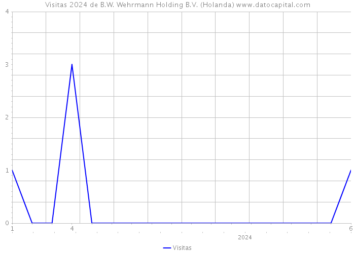 Visitas 2024 de B.W. Wehrmann Holding B.V. (Holanda) 