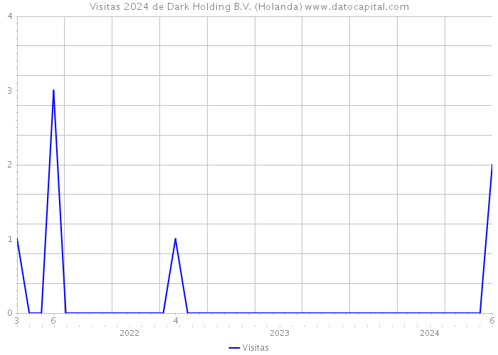 Visitas 2024 de Dark Holding B.V. (Holanda) 