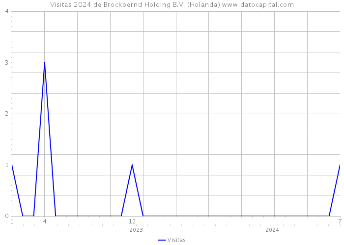 Visitas 2024 de Brockbernd Holding B.V. (Holanda) 