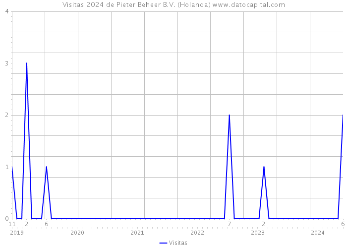 Visitas 2024 de Pieter Beheer B.V. (Holanda) 