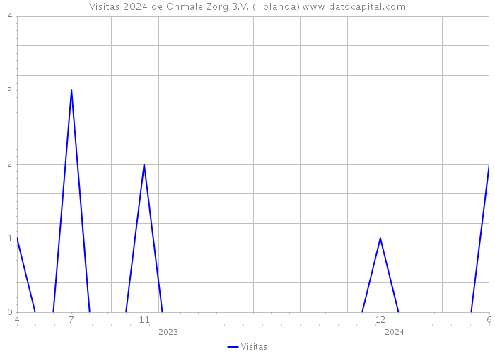 Visitas 2024 de Onmale Zorg B.V. (Holanda) 