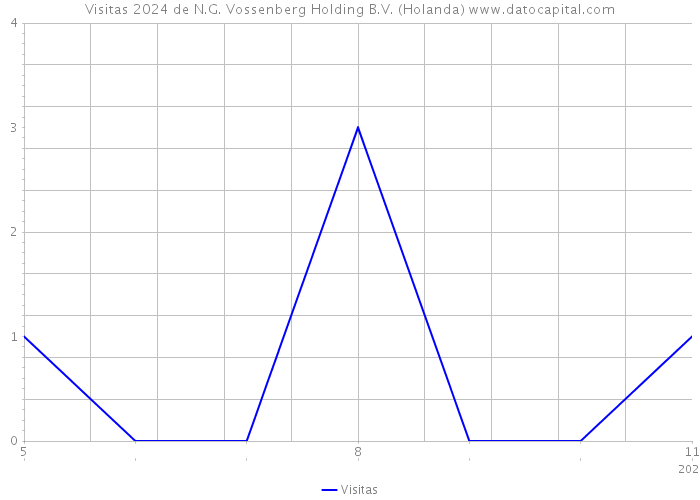 Visitas 2024 de N.G. Vossenberg Holding B.V. (Holanda) 
