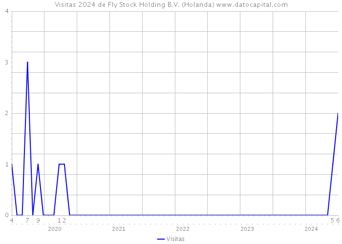 Visitas 2024 de Fly Stock Holding B.V. (Holanda) 