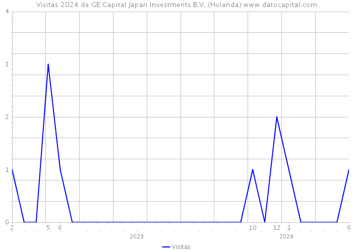 Visitas 2024 de GE Capital Japan Investments B.V. (Holanda) 
