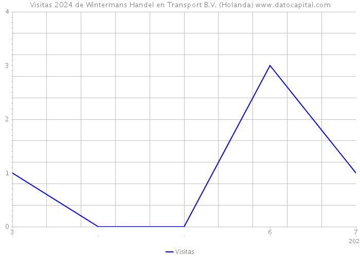 Visitas 2024 de Wintermans Handel en Transport B.V. (Holanda) 