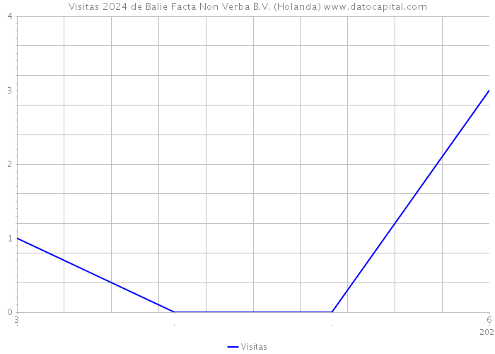 Visitas 2024 de Balie Facta Non Verba B.V. (Holanda) 