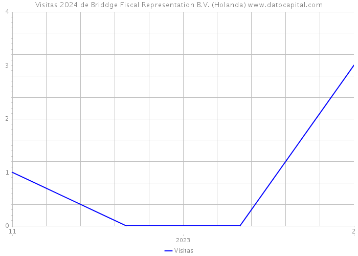 Visitas 2024 de Briddge Fiscal Representation B.V. (Holanda) 