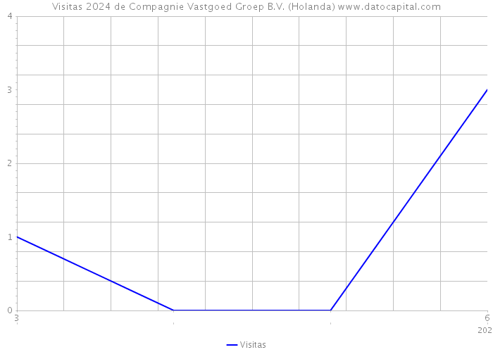 Visitas 2024 de Compagnie Vastgoed Groep B.V. (Holanda) 