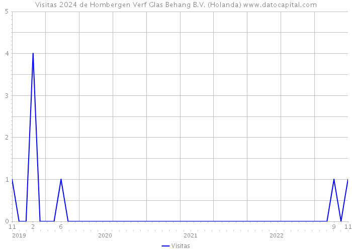 Visitas 2024 de Hombergen Verf Glas Behang B.V. (Holanda) 