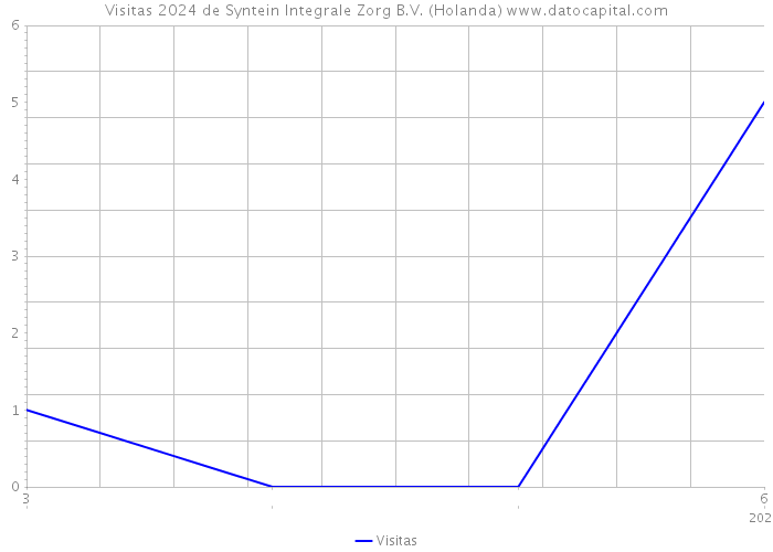 Visitas 2024 de Syntein Integrale Zorg B.V. (Holanda) 