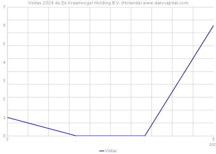 Visitas 2024 de De Kraamvogel Holding B.V. (Holanda) 