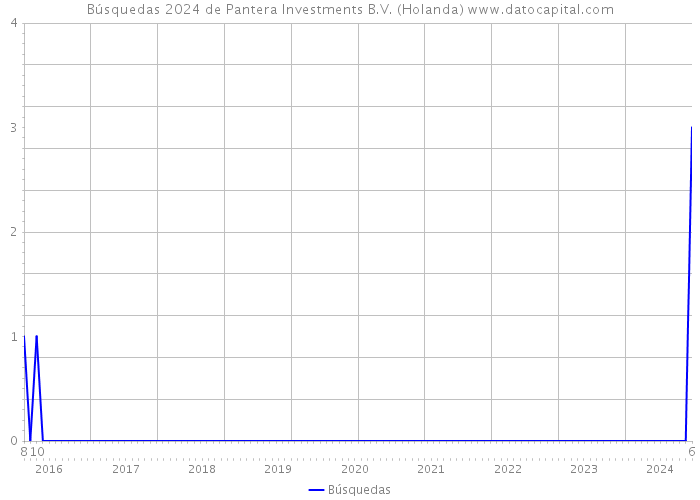 Búsquedas 2024 de Pantera Investments B.V. (Holanda) 