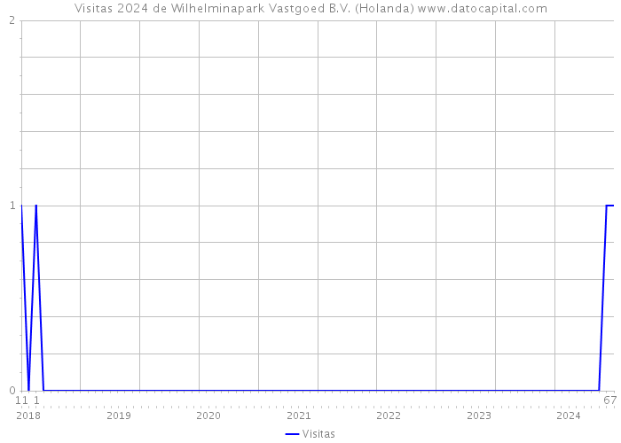 Visitas 2024 de Wilhelminapark Vastgoed B.V. (Holanda) 