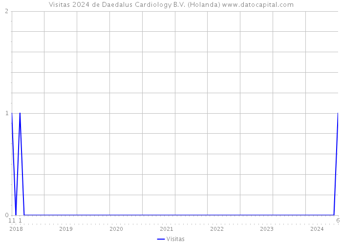 Visitas 2024 de Daedalus Cardiology B.V. (Holanda) 