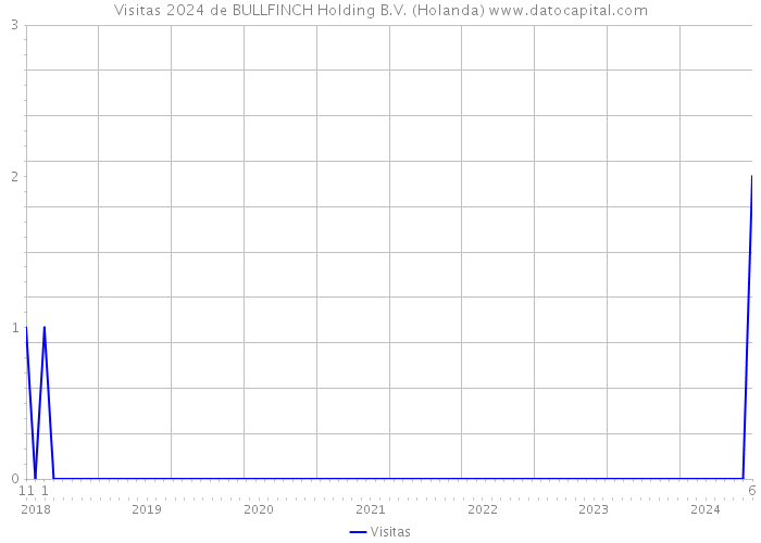 Visitas 2024 de BULLFINCH Holding B.V. (Holanda) 