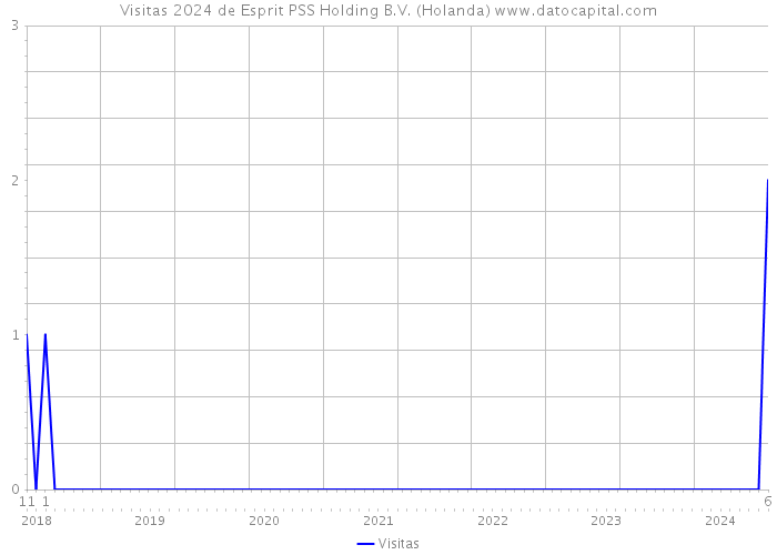 Visitas 2024 de Esprit PSS Holding B.V. (Holanda) 