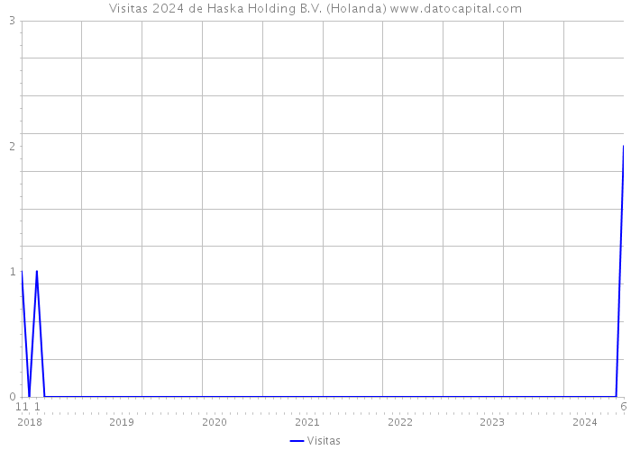 Visitas 2024 de Haska Holding B.V. (Holanda) 