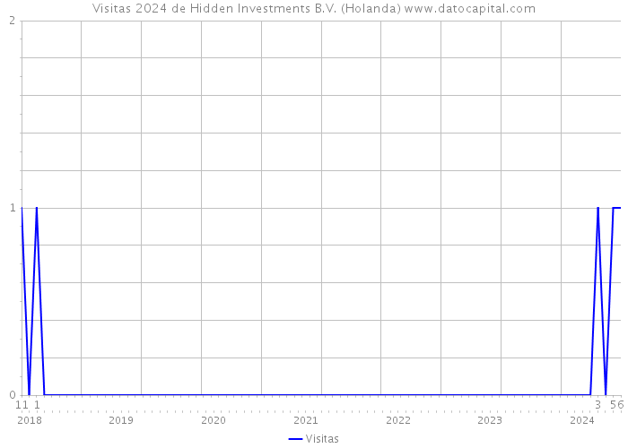 Visitas 2024 de Hidden Investments B.V. (Holanda) 