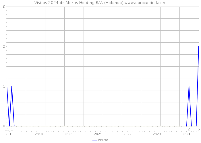 Visitas 2024 de Morus Holding B.V. (Holanda) 
