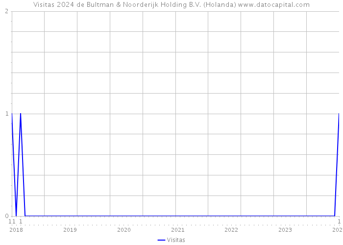 Visitas 2024 de Bultman & Noorderijk Holding B.V. (Holanda) 