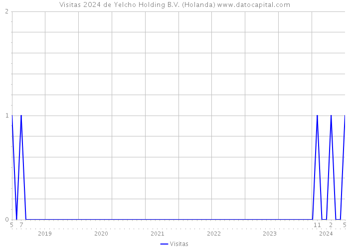Visitas 2024 de Yelcho Holding B.V. (Holanda) 