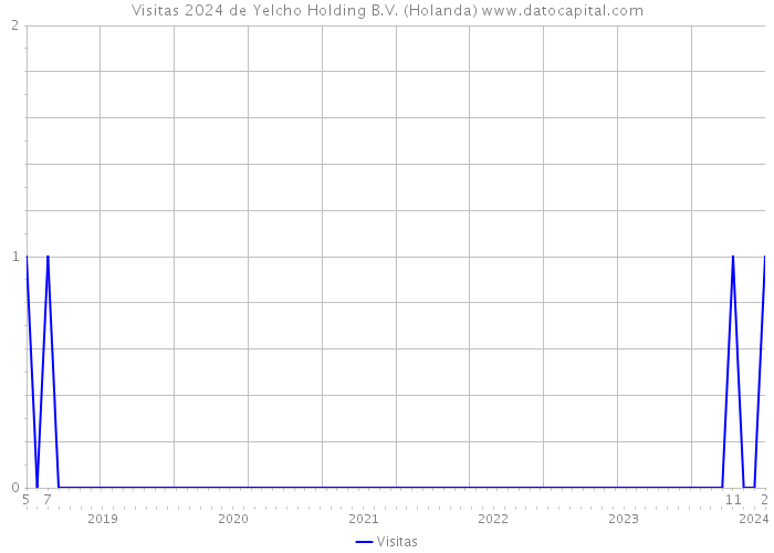 Visitas 2024 de Yelcho Holding B.V. (Holanda) 
