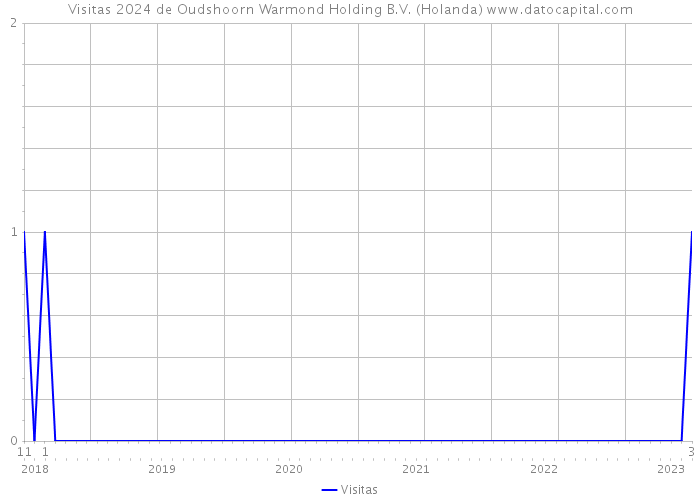 Visitas 2024 de Oudshoorn Warmond Holding B.V. (Holanda) 
